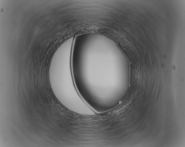 X0000085000818200703050933