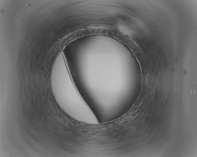 X0000085000821200703050933