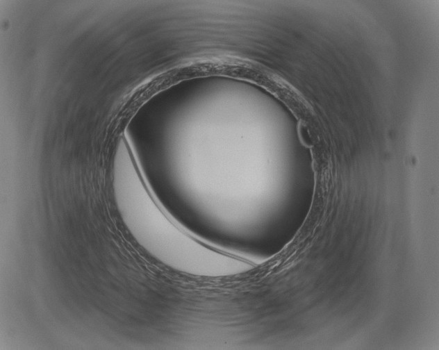 X0000085000822200703050933