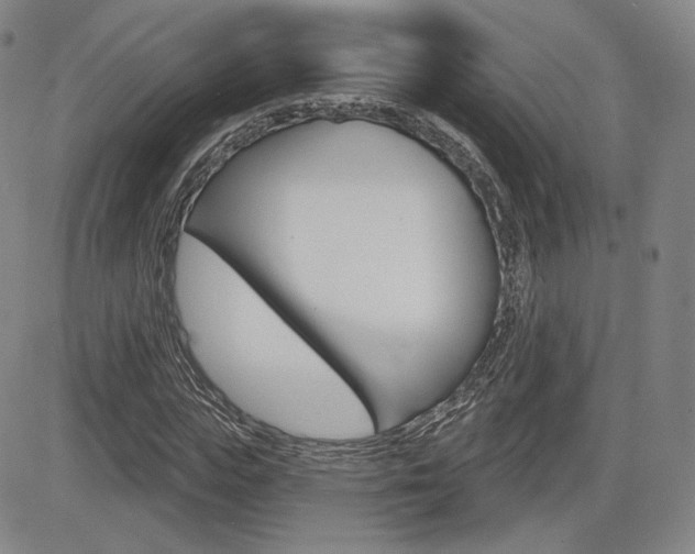 X0000085000823200703050933