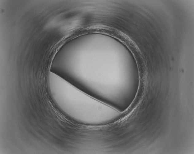 X0000085000825200703050933