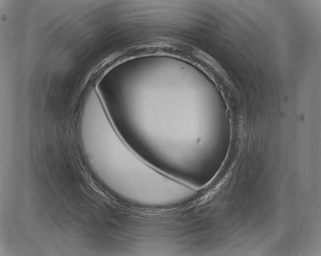 X0000085000826200703050933