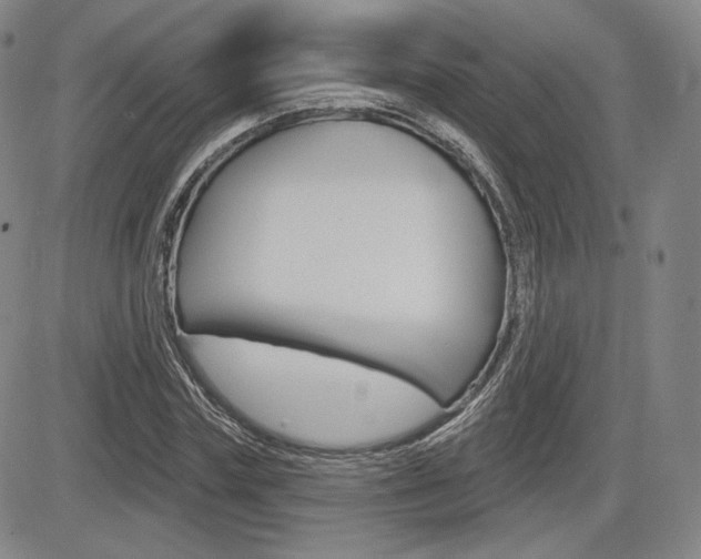 X0000085000827200703050933
