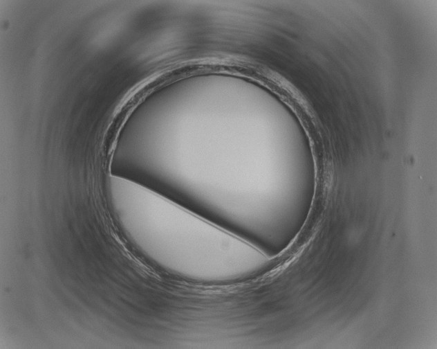 X0000085000829200703050933