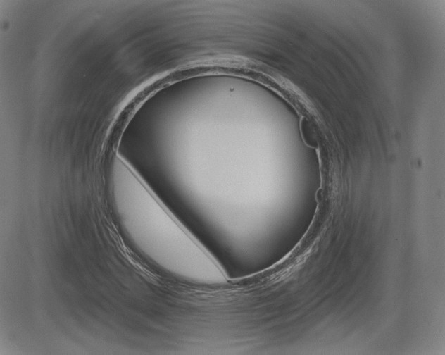 X0000085000830200703050933