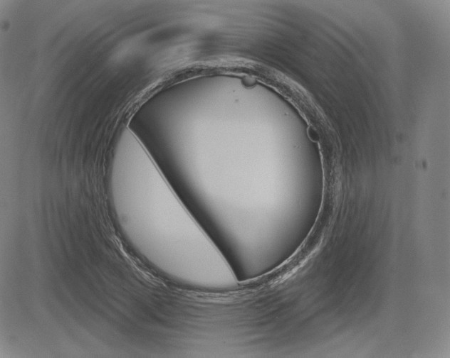 X0000085000833200703050933
