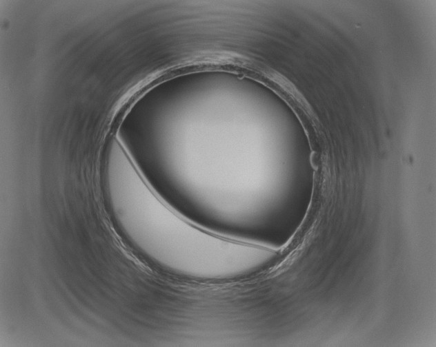 X0000085000834200703050933