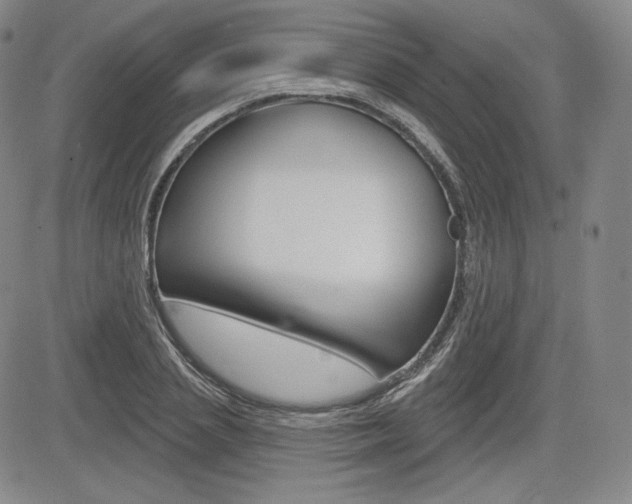 X0000085000837200703050933