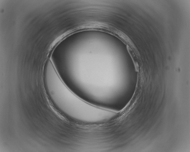 X0000085000842200703050933