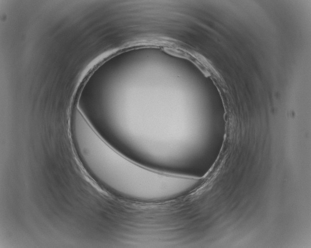 X0000085000846200703050934