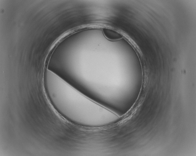X0000085000853200703050934