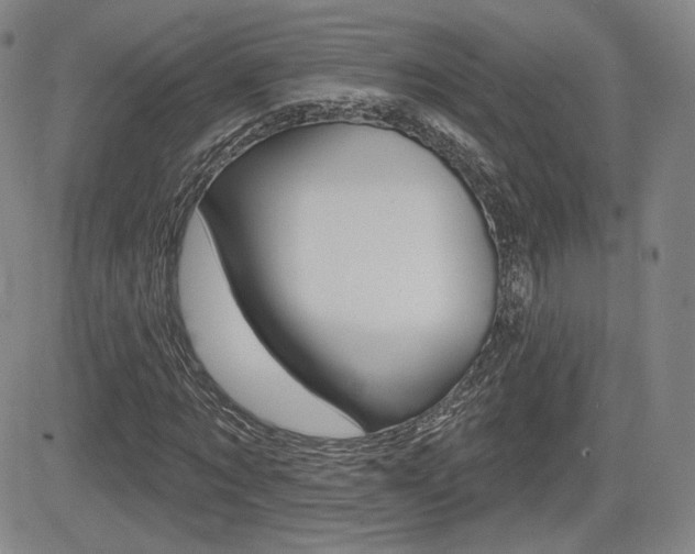 X0000085000869200703050933