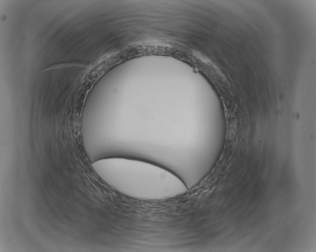 X0000085000870200703050933