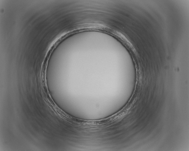 X0000085000883200703050933
