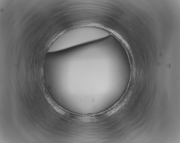 X0000085000897200703050933