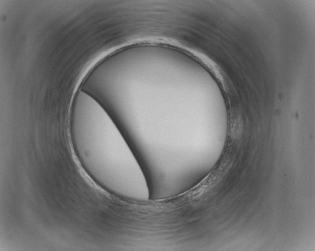 X0000085000903200703050932