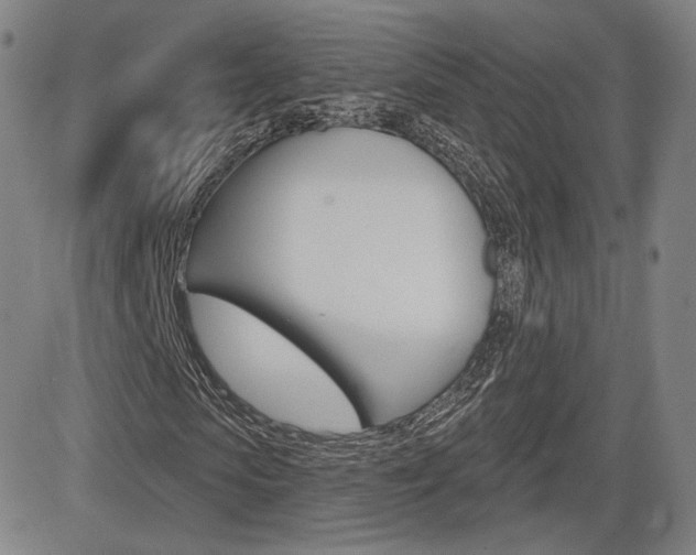 X0000085000913200703050931