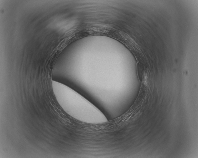 X0000085000915200703050932