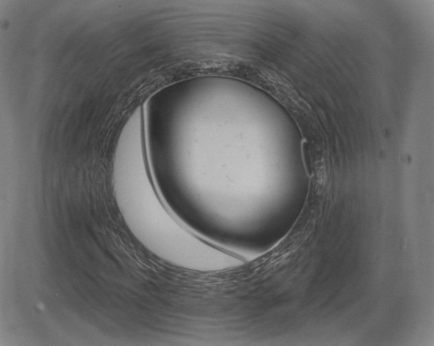 X0000085000916200703050932