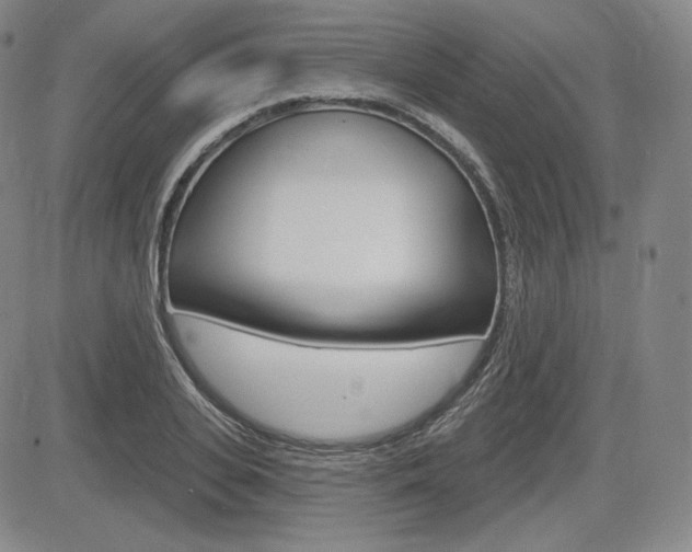 X0000085000935200703050932