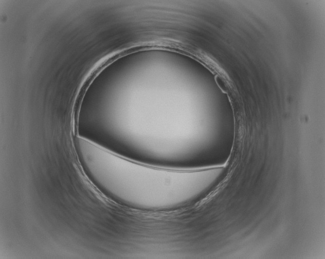 X0000085000940200703050932