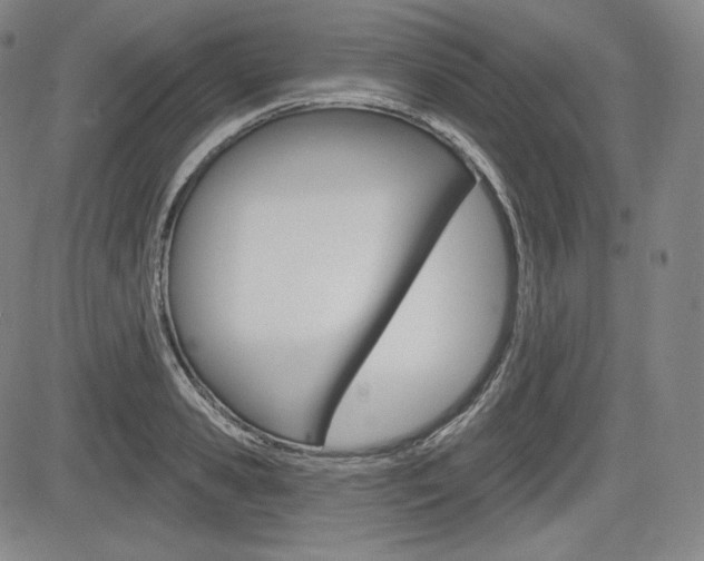 X0000085000941200703050932