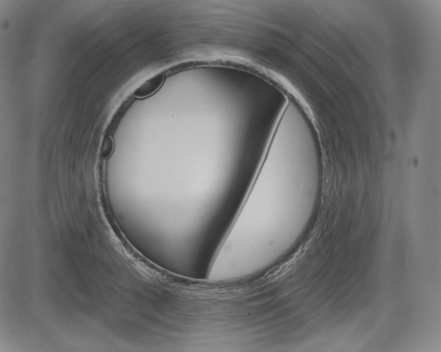 X0000085000943200703050932