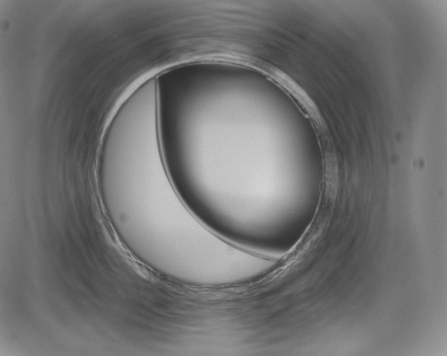 X0000085000956200703050932