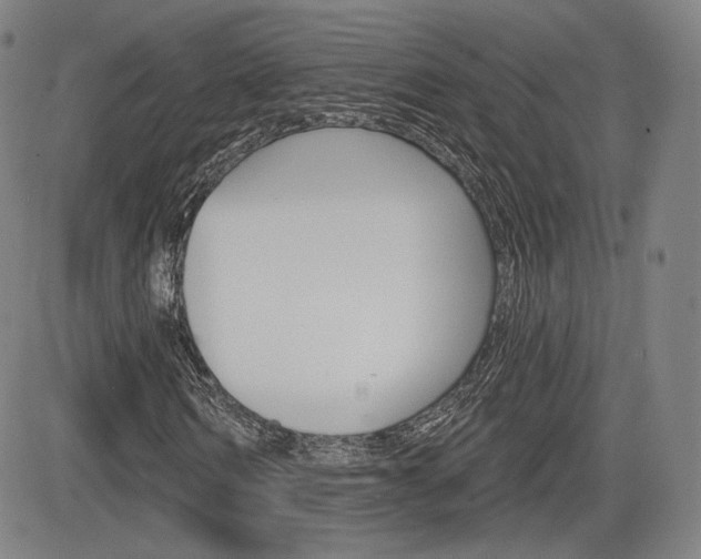 X0000085000962200703050931