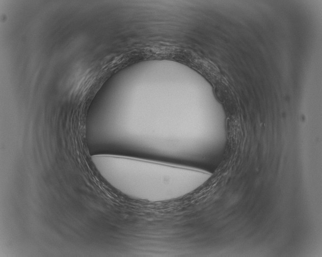 X0000085001009200703050930