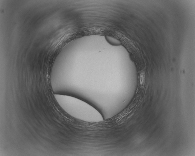 X0000085001011200703050930
