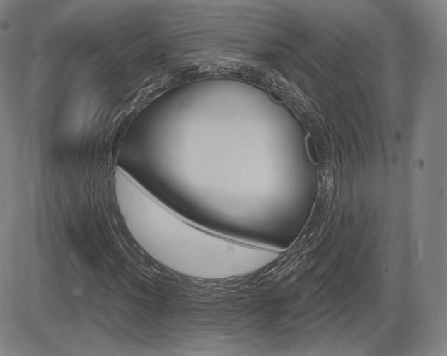X0000085001012200703050930