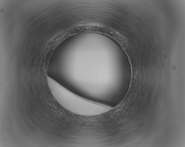 X0000085001014200703050930