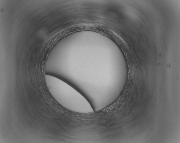 X0000085001015200703050930