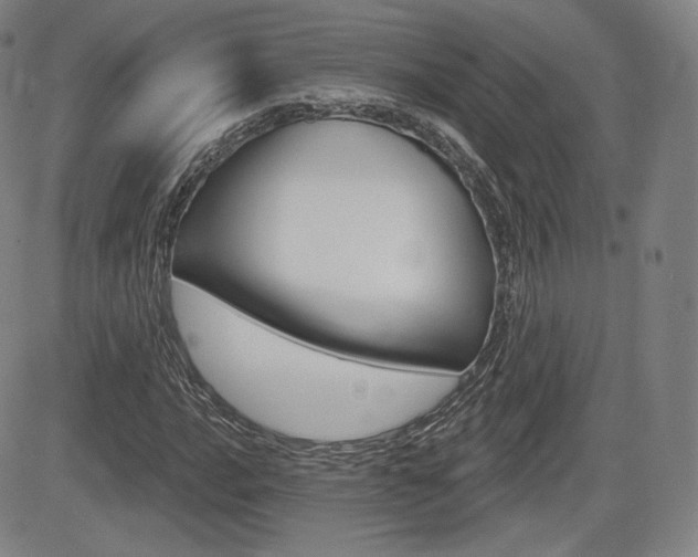 X0000085001016200703050930