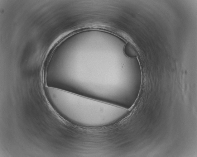 X0000085001032200703050930