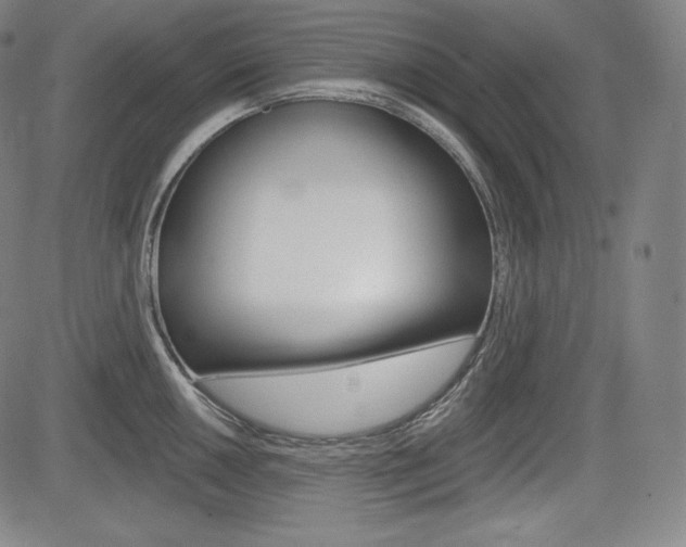 X0000085001050200703050931