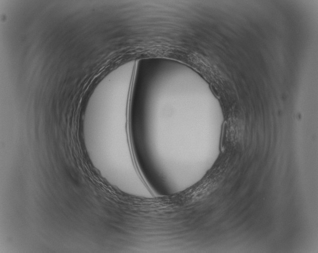 X0000085001057200703050930