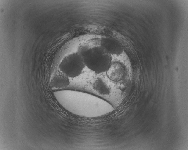 X0000085001105200703050928