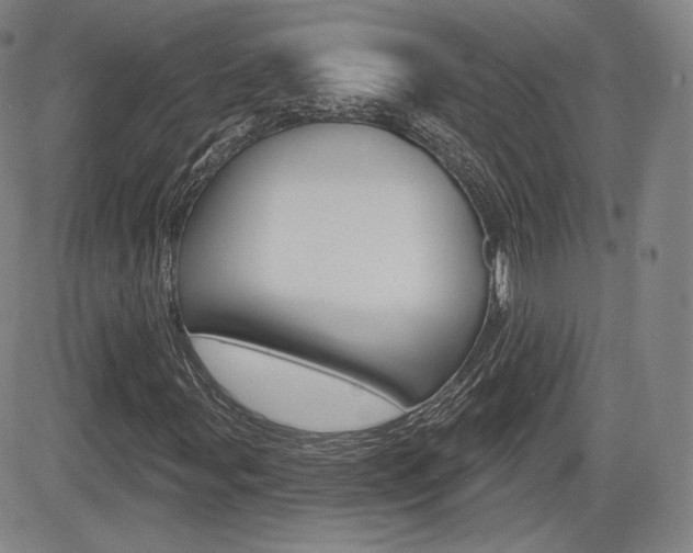 X0000085001107200703050928