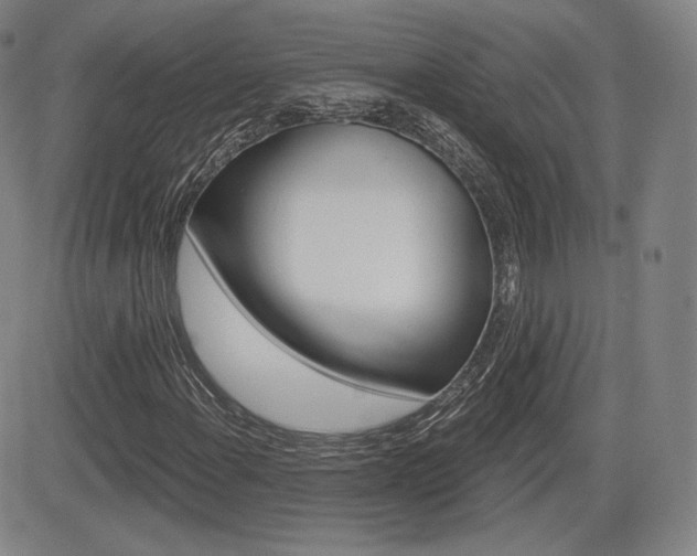X0000085001108200703050928