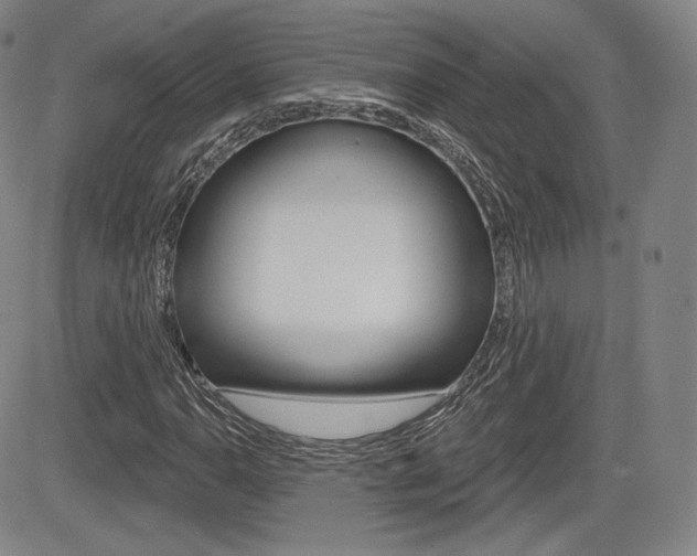 X0000085001110200703050928