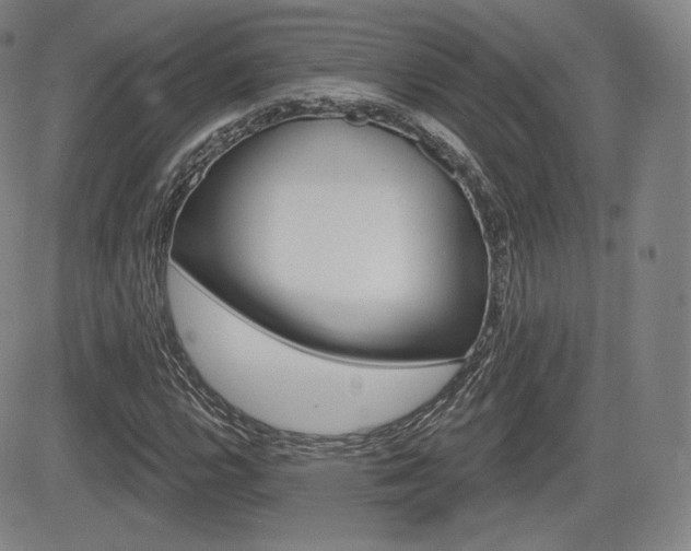 X0000085001112200703050928
