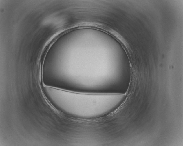X0000085001127200703050929