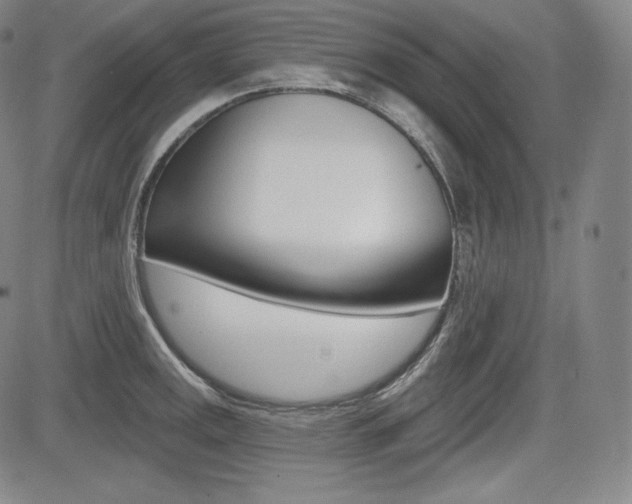 X0000085001141200703050929