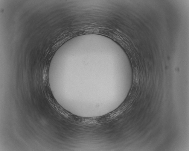X0000085001154200703050928