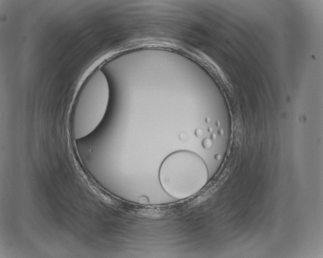 X0000085001182200703050928