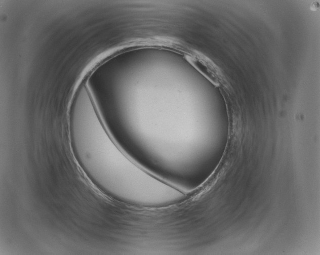 X0000085001184200703050928