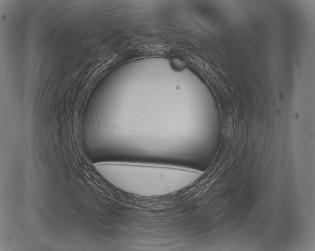 X0000085001201200703050927