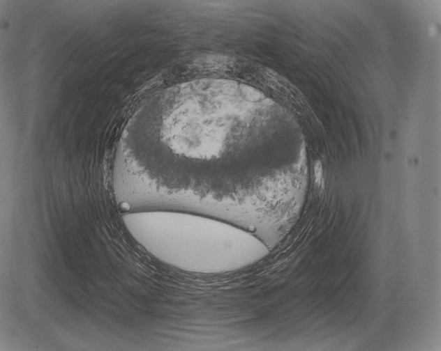 X0000085001203200703050927